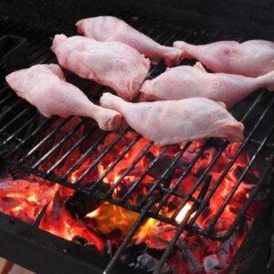 Pilon de poulet